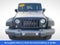 2016 Jeep Wrangler Unlimited Black Bear