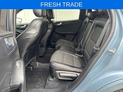 2023 Ford Escape ST-Line Select