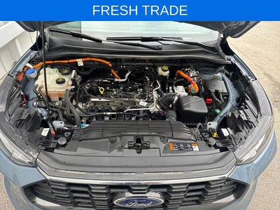 2023 Ford Escape ST-Line Select