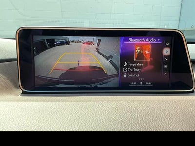 2019 Lexus RX 