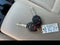 2017 Subaru Outback Premium